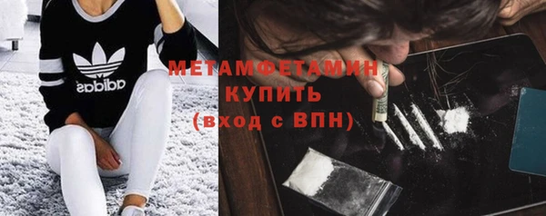 гидра Грязи