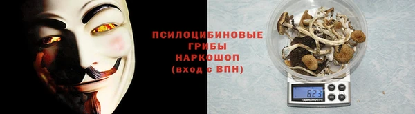 сатива Грязовец