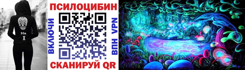 Галлюциногенные грибы Psilocybine cubensis  дарнет шоп  Асино 