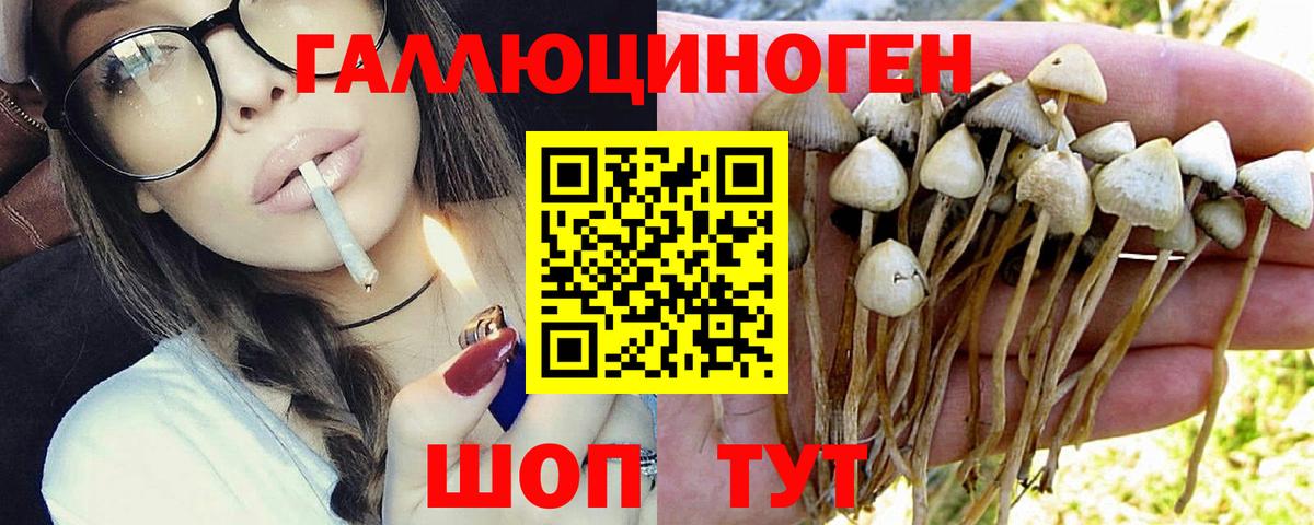 Галлюциногенные грибы MAGIC MUSHROOMS Асино