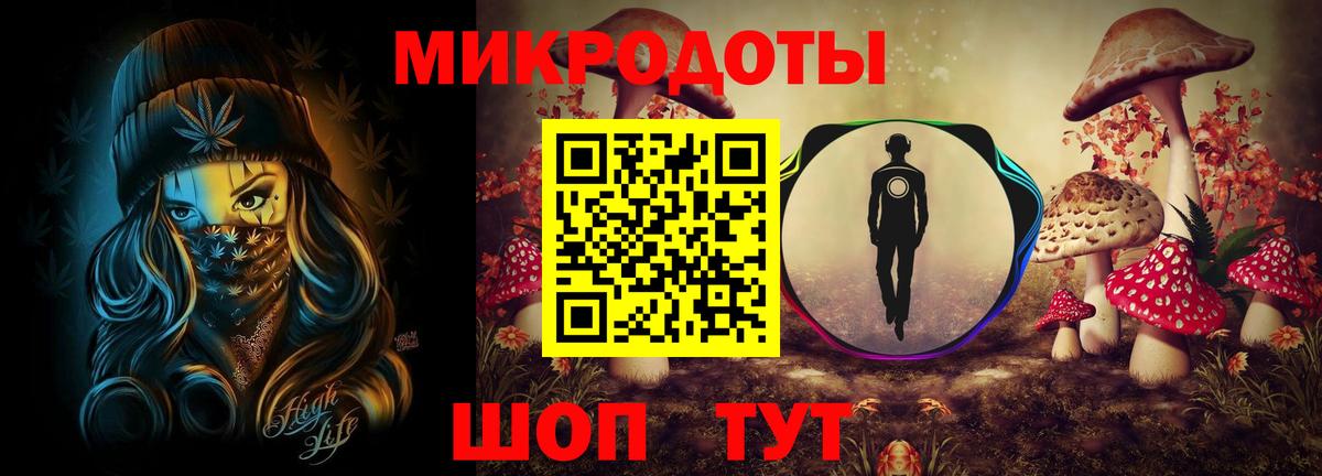 Псилоцибиновые грибы Psilocybine cubensis  наркошоп  Асино  Вход с VPN 