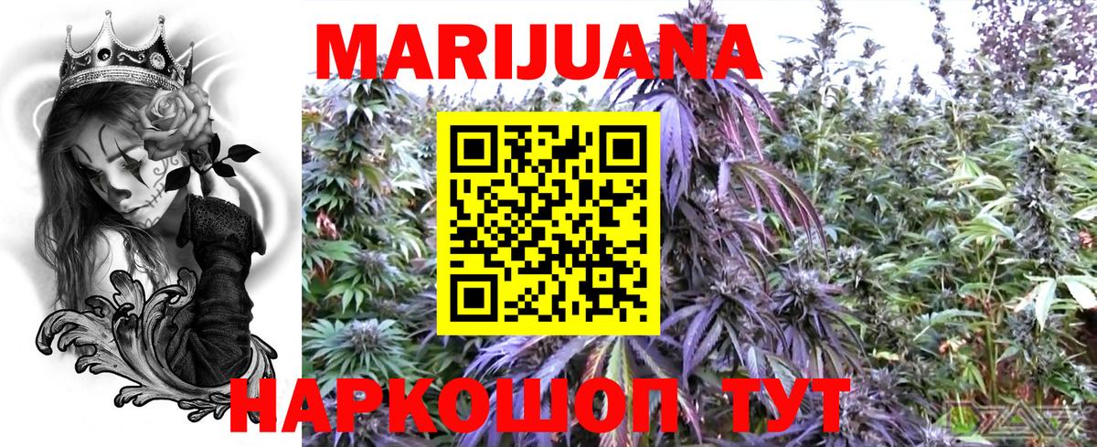 Канабис план  Каннабис планчик  Асино  Бошки марихуана VHQ 